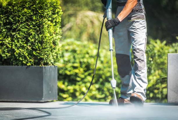 Best Dumpster Area Cleaning  in West Hills, NY